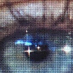 webspider43's profile picture. 