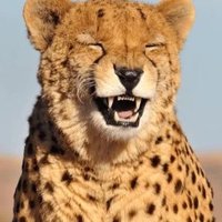 Hào lê (@kenken_tech03) 's Twitter Profile