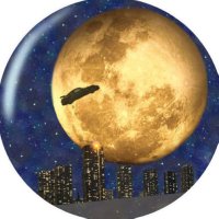 🌜✨Bright Moon✨🌛💫 (@000qxxp) Twitter profile photo