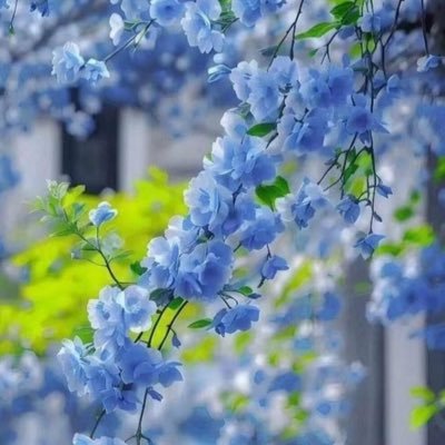 119_alnory's profile picture. 