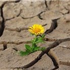 副業で収入を増やすコツを紹介中。副業初心者にお得な情報をお届け。わずかですが現金給付企画もしています! 期間限定➡ https://t.co/08phnQQWap