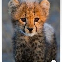 sağlık.teknikeri (@isveugrasitek_) 's Twitter Profile