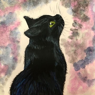 boboboyNeo Profile