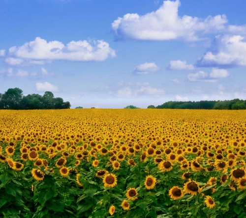 26home's profile picture. 