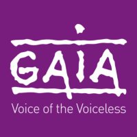 GAIA (@gaiabrussels) 's Twitter Profile Photo GAIA (@gaiabrussels) 's Twitter Profile Photo