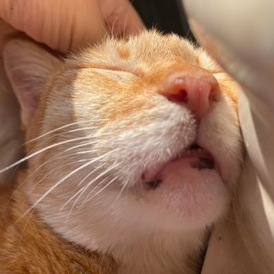 eyepearwaa's profile picture. Park Rayeon