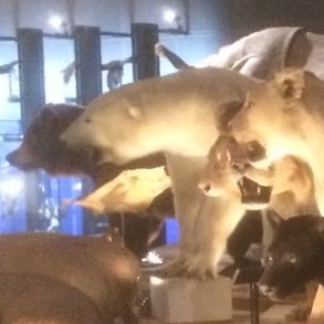 seitai_pncp2's profile picture. ちょっとした日常のことやちょっとした日常のこと、ちょっとした日常のことなどについて呟きます