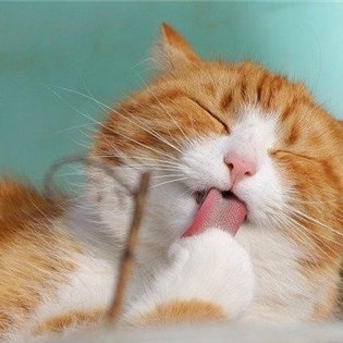 副業の成功法を共有中。副業を始めてみたい人にお得な情報をお届け。僅かですが現金プレゼント企画も始めました。 なくなり次第終了▶ https://t.co/1chVJDPmse