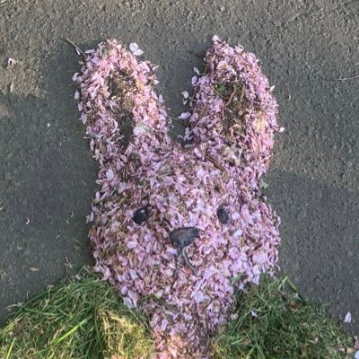 🍓さんのプロフィール画像