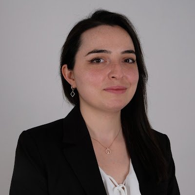 Research Assistant /
Hacettepe University Institute of Population Studies