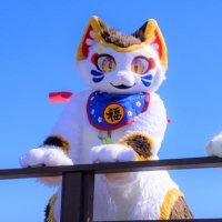 来福マネキ 𝙉𝙚𝙭𝙩 ? (@hukuhuku_maneku) 's Twitter Profile Photo 来福マネキ 𝙉𝙚𝙭𝙩 ? (@hukuhuku_maneku) 's Twitter Profile Photo