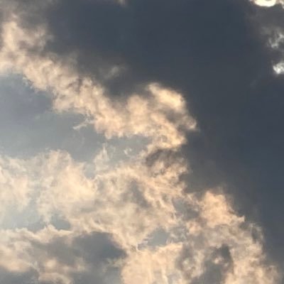 しろさんのプロフィール画像