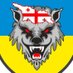 Georgian Legion (@georgian_legion) Twitter profile photo Georgian Legion (@georgian_legion) Twitter profile photo