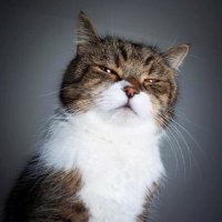 O3🩺 (@abdulganiyuose1) 's Twitter Profile Photo O3🩺 (@abdulganiyuose1) 's Twitter Profile Photo