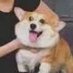 funnyguy (@leo66fgc) Twitter profile photo funnyguy (@leo66fgc) Twitter profile photo