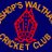 @walthamcricket profile picture