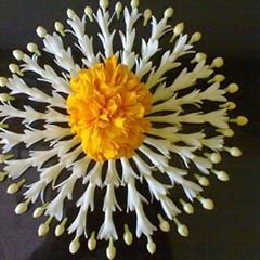 RoyJhuma56989's profile picture. 