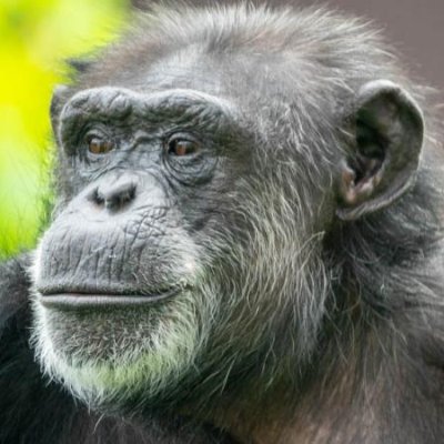 Dogotron's profile picture. STEM professional. Life long Democrat turned Trump voter given the CORRUPTION  in the DNC and because Kamala is a Marxist.