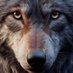 Mercado Prepper y Supervivencia (@mercadoprepper) Twitter profile photo Mercado Prepper y Supervivencia (@mercadoprepper) Twitter profile photo