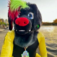 Spenny (@spenny_doggo) 's Twitter Profile Photo Spenny (@spenny_doggo) 's Twitter Profile Photo
