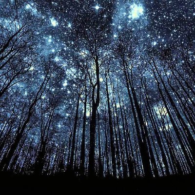 zoigDev's profile picture. Dedicated programmer and passionate salsa dancer