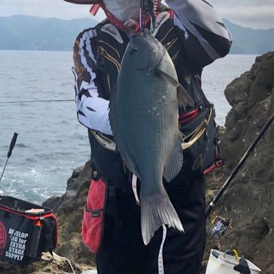 yuyuka131_13's profile picture. 「釣恋人会Tweetangles」・「ライ麦畑でグレかけて」所属‼️🖐オナガ60釣るぞーw w😊✌️ 旦那と義父釣り仲間に沖磯連れて行ってもらってます✧*｡٩(ˊᗜˋ*)و✧*｡ 仕事は鉄筋屋さん‼️💪バレーボールやってます。そんなアラフィフおばさんですw( ´罒`*)✧"