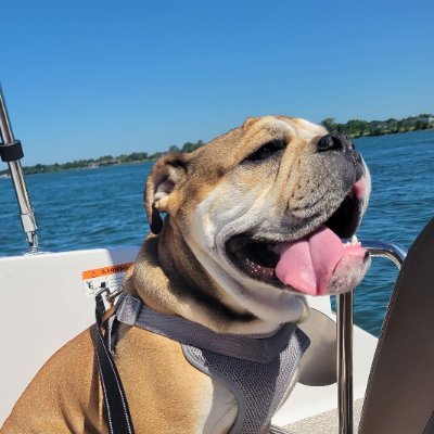 Joeee187's profile picture. value energy investor