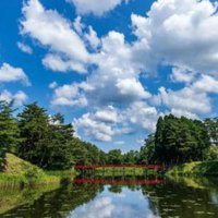 Lisa70 (@lisa00000012) 's Twitter Profile