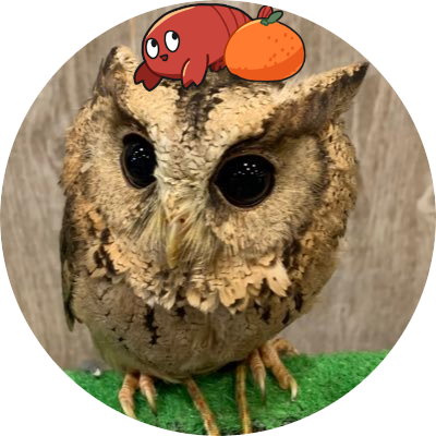 Luke_pawn's profile picture. 丁寧なインターネット生活┊︎撮った写真と動画をよく投稿します📷