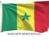 damndiaye's profile picture. Il n'ya rien de mauvais ni de bon sauf ces deux choses là: la sagesse qui est un bien et l'ignorance qui est un mal.
