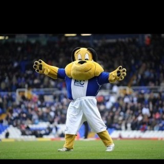 darrenh63's profile picture. 