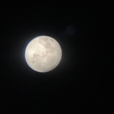 enamelwotaku's profile picture. 本当です信じてください