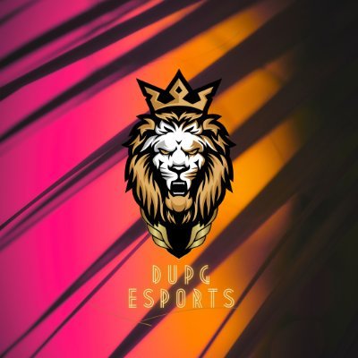 @DupgEsports