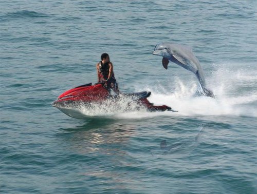 hareton_a's profile picture. 