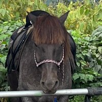 んにょん (@momoxmomo6666) Twitter profile photo