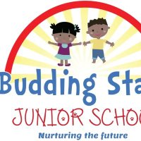 Budding Stars Junior School (@buddingjunior) 's Twitter Profile
