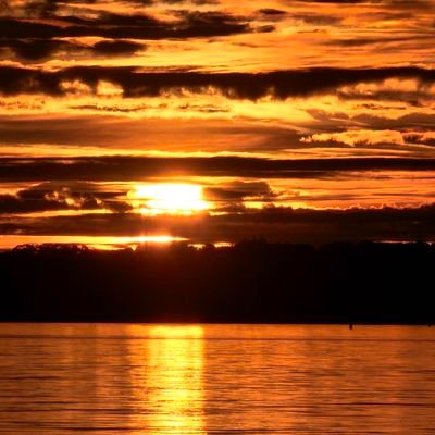 RobinMc1878's profile picture. EFC supporter . Once a Blue, always a Blue.
Play golf. Walking. Gardening
Positive attitude.. no matter what life throws at me. Please do the same. 🎶