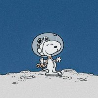 Shakuntalashree Gopalakrishnan (@shaks_journal) 's Twitter Profile Photo