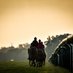 Chantilly Thoroughbreds (@chantillytbreds) Twitter profile photo Chantilly Thoroughbreds (@chantillytbreds) Twitter profile photo