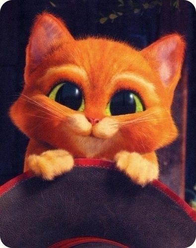 NikuLaLa's profile picture. 