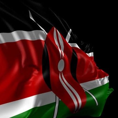 owinojob84's profile picture. Support the government of the day