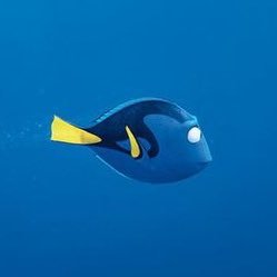 edeyrushe's profile picture. she who creates herself, adult female person | 6B4T