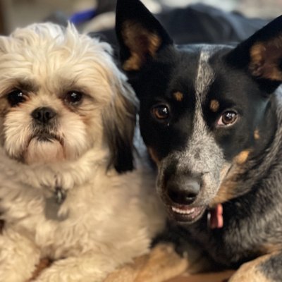 rmespelt's profile picture. 