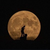 ata_6634 (@ata_6634) 's Twitter Profile