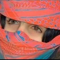 سلطان شبوه (@anmh777328) 's Twitter Profile