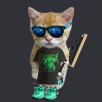 Leonminou (@leonminou) 's Twitter Profile