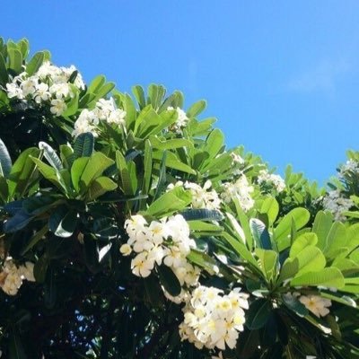 moon123890's profile picture. لم تكن الأشياء رقيقة دائماً كما أحب ، أنا من منحت الرقة لكل شيءٍ يخصني ، هنا بعض من ذائقتي .