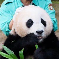 올리바오 (@ollie__0) 's Twitter Profile Photo 올리바오 (@ollie__0) 's Twitter Profile Photo