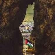 Mahmoud Waleed..🇵🇸🇵🇸 (@mahmoudwal85327) 's Twitter Profile