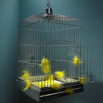 MCimelle50941's profile picture. From London Town.